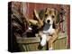 Beagle Dog Puppy-Lynn M. Stone-Premier Image Canvas