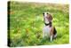 Beagle Sitting In Green Grass-Elena Efimova-Premier Image Canvas