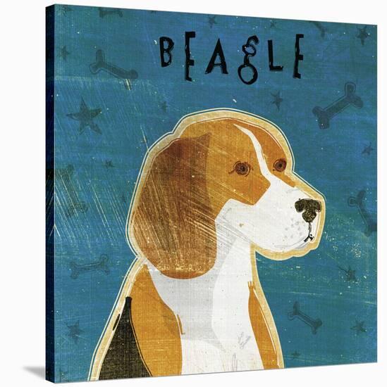Beagle (square)-John W Golden-Stretched Canvas