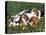 Beagle with Puppies in Grass-Lynn M. Stone-Premier Image Canvas