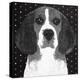 Beagle-PI Studio-Stretched Canvas