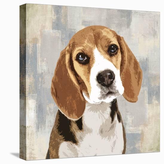 Beagle-Keri Rodgers-Stretched Canvas