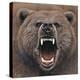 Bear 2-Harro Maass-Premier Image Canvas