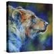 Bear Abstract-Marcia Baldwin-Premier Image Canvas