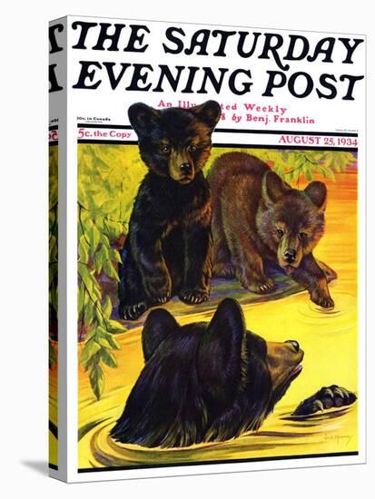 "Bear and Cubs in River," Saturday Evening Post Cover, August 25, 1934-Jack Murray-Premier Image Canvas