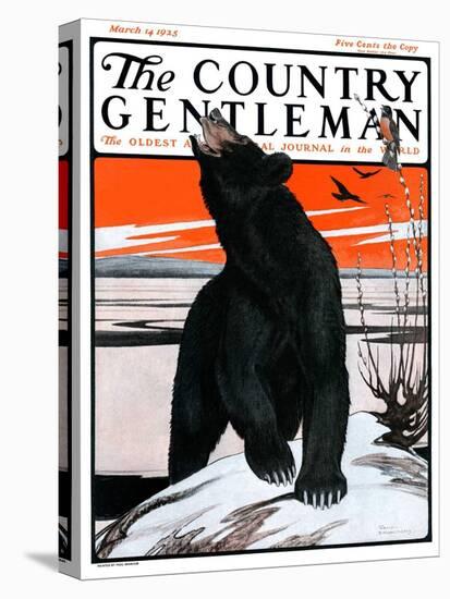 "Bear and Robin Welcome Spring," Country Gentleman Cover, March 14, 1925-Paul Bransom-Premier Image Canvas