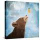 Bear Cub and Bee with Honeycomb-Paula Belle Flores-Stretched Canvas