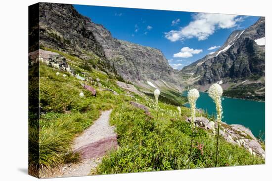 Bear Grass Flowers Above Lake Ellen Wilson in Glacier NP, Montana-James White-Premier Image Canvas