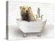 Bear In Bathtub-Matthew Piotrowicz-Stretched Canvas