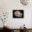 Bear Skull, Sima De Los Huesos-Javier Trueba-Premier Image Canvas displayed on a wall