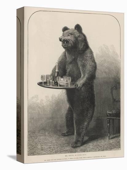 Bear Waiter-null-Premier Image Canvas