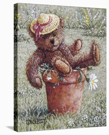 Bear With A Hat-Janet Kruskamp-Stretched Canvas