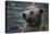 Bear-Gordon Semmens-Premier Image Canvas