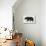 Bear-Florent Bodart-Premier Image Canvas displayed on a wall