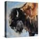 Bearded Buffalo-Renee Gould-Premier Image Canvas