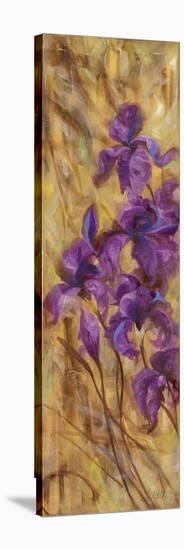 Bearded Iris VII-li bo-Premier Image Canvas