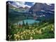 Beargrass above Grinnell Lake, Many Glacier Valley, Glacier National Park, Montana, USA-Chuck Haney-Premier Image Canvas