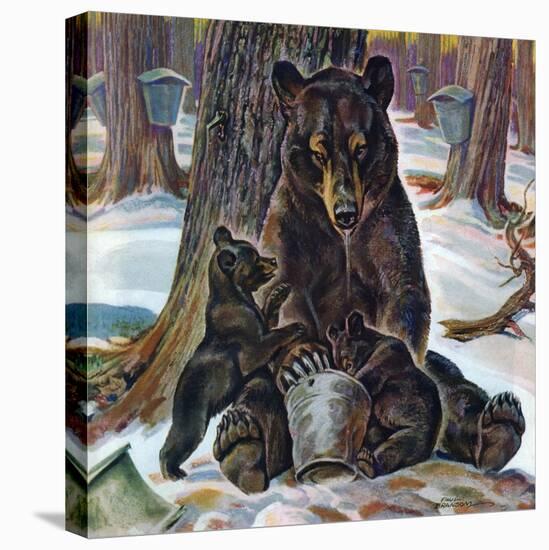 "Bears Eating Maple Syrup," March 28, 1942-Paul Bransom-Premier Image Canvas