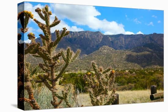Beautiful Albuquerque Landscape with the Sandia Mountains-pdb1-Premier Image Canvas