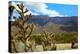 Beautiful Albuquerque Landscape with the Sandia Mountains-pdb1-Premier Image Canvas