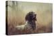 Beautiful Aragorn-Heike Willers-Stretched Canvas