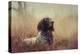 Beautiful Aragorn-Heike Willers-Premier Image Canvas