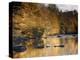 Beautiful Autumn Colours Reflecting in the River Creuse, a Favourite Area of the River of the Artis-Julian Elliott-Premier Image Canvas