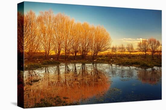 Beautiful Autumn Landscape, Dry Trees, Blue Sky, Tree Reflected in Lake, Seasons Change, Sunny Day,-Anna Omelchenko-Premier Image Canvas