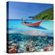 Beautiful Beach and Motor Boat with Coral Reef Bottom Underwater and above Water Split View-haveseen-Premier Image Canvas