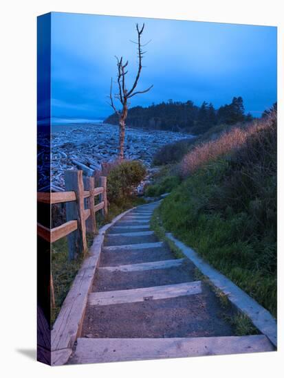 Beautiful Beach Area at Dusk, Kalaloch Lodge on the Olympic Coast, Washington, Usa-Michele Westmorland-Premier Image Canvas