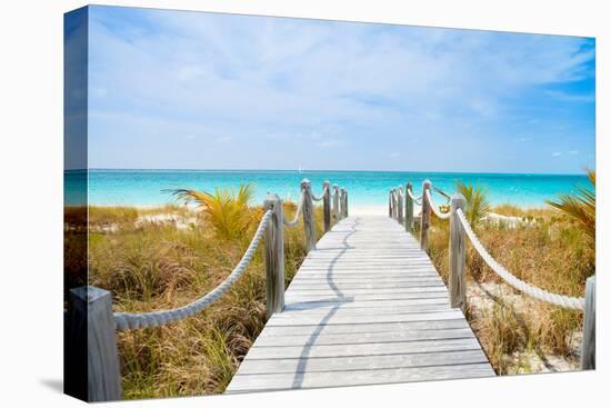 Beautiful Beach at Caribbean Providenciales Island in Turks and Caicos-BlueOrange Studio-Premier Image Canvas