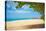 Beautiful Beach in Aruba, Caribbean Islands, Lesser Antilles-mffoto-Premier Image Canvas