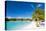 Beautiful Beach on Bora Bora Island in French Polynesia-BlueOrange Studio-Premier Image Canvas