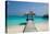 Beautiful Beach with Jetty at Maldives-haveseen-Premier Image Canvas