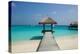 Beautiful Beach with Jetty at Maldives-haveseen-Premier Image Canvas