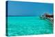 Beautiful Beach with Water Bungalows at Maldives-haveseen-Premier Image Canvas