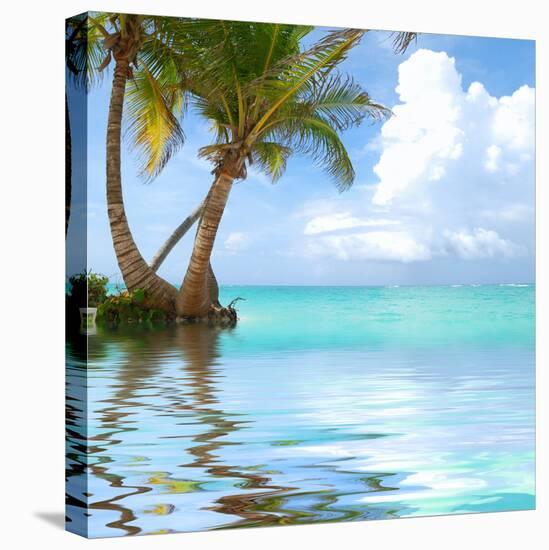 Beautiful Caribbean Beach in Dominican Republic. Reflection in Water.-haveseen-Premier Image Canvas