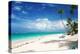 Beautiful Caribbean Beach in Dominican Republic-haveseen-Premier Image Canvas