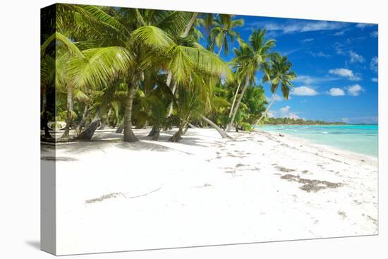 Beautiful Caribbean Beach in Dominican Republic-haveseen-Premier Image Canvas