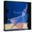 Beautiful Dancers 9-Mark Van Crombrugge-Stretched Canvas