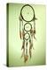 Beautiful Dream Catcher On Green Background-Yastremska-Stretched Canvas