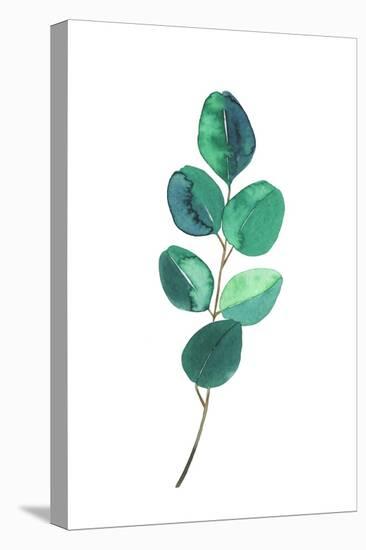 Beautiful Eucalyptus - Botanical Watercolor-Maria Mirnaya-Stretched Canvas