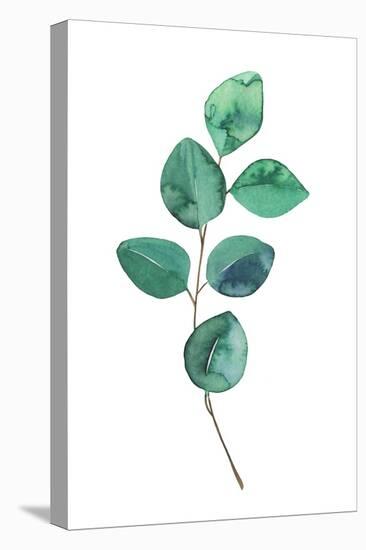 Beautiful Eucalyptus - Botanical Watercolor-Maria Mirnaya-Stretched Canvas