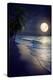 Beautiful Fantasy Tropical Beach with Milky Way Star in Night Skies, Full Moon - Retro Style Artwor-jakkapan-Premier Image Canvas