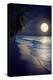 Beautiful Fantasy Tropical Beach with Milky Way Star in Night Skies, Full Moon - Retro Style Artwor-jakkapan-Premier Image Canvas