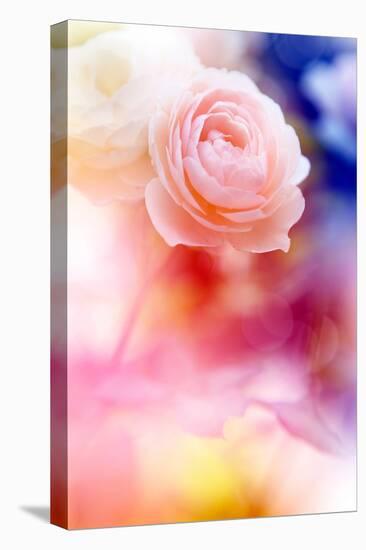 Beautiful Flowers Made with Color Filters and Textures-Timofeeva Maria-Premier Image Canvas
