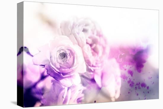 Beautiful Flowers Made with Color Filters and Textures-Timofeeva Maria-Stretched Canvas