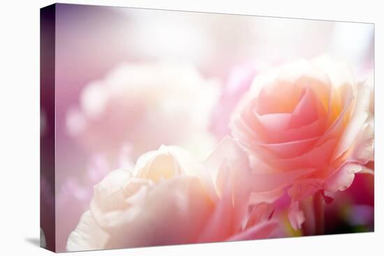 Beautiful Flowers Made with Color Filters-Timofeeva Maria-Premier Image Canvas