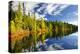 Beautiful Forest Reflecting on Calm Lake Shore at Algonquin Park, Canada-elenathewise-Premier Image Canvas