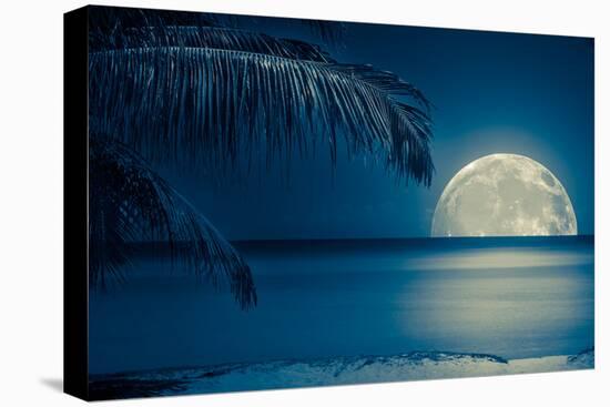 Beautiful Full Moon Reflected on the Calm Water of a Tropical Beach (Toned in Blue)-Kamira-Premier Image Canvas